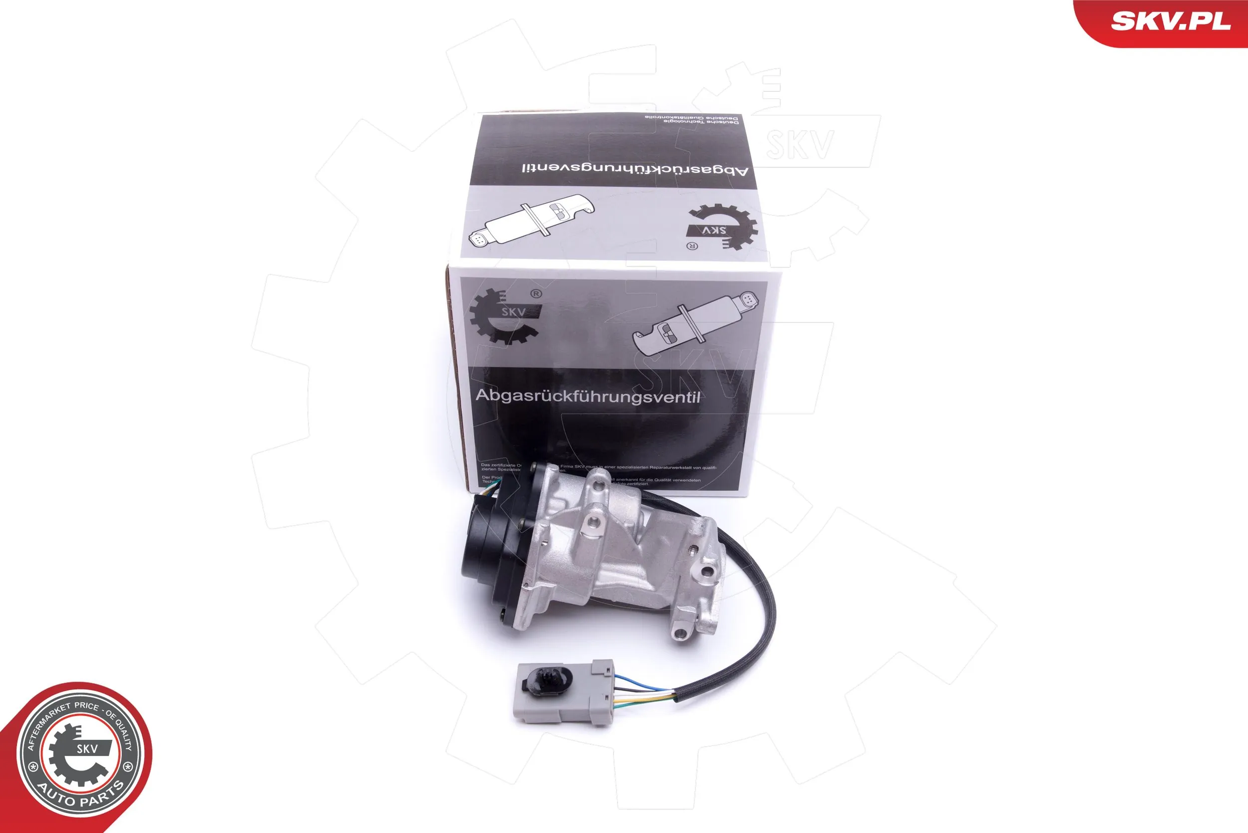 EGR Valve
